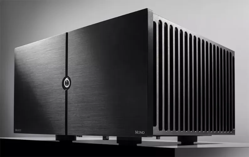 Audio Analogue ABsolute PA Mono – 500 Watts and 50 kg