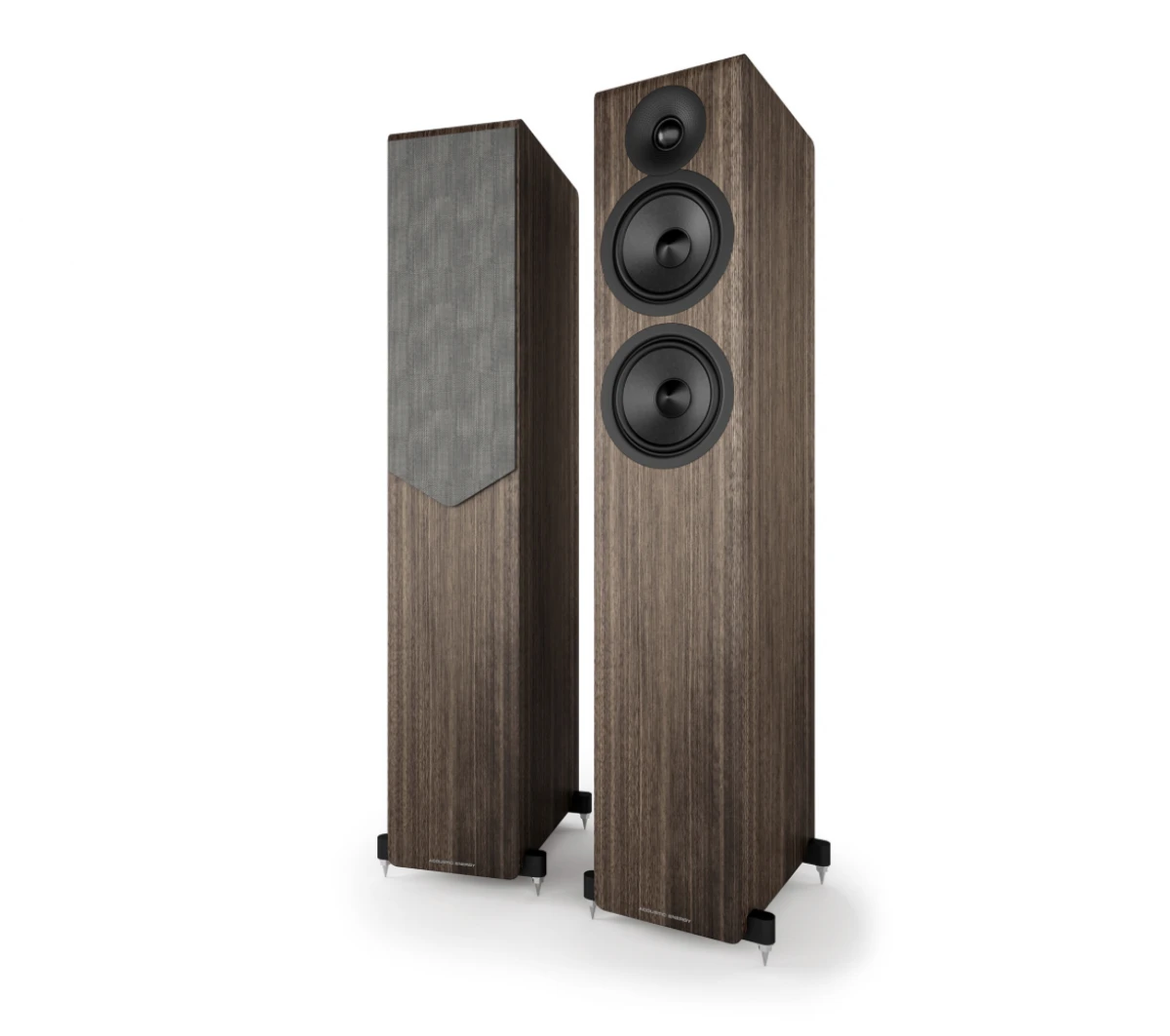 Acoustic Energy AE309²