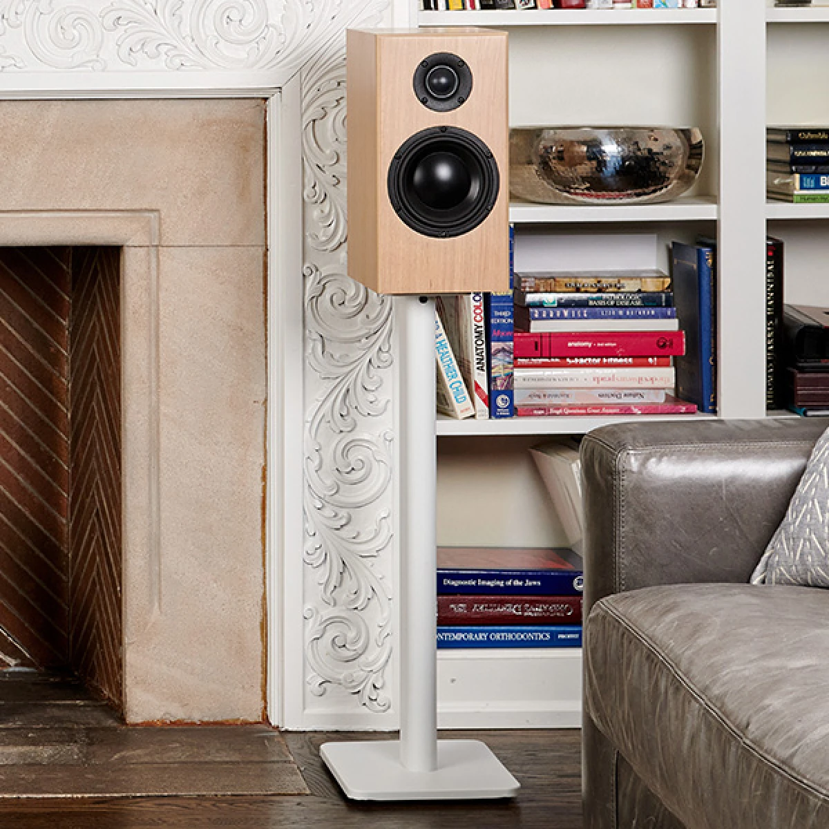 Totem Acoustic Bison Monitor