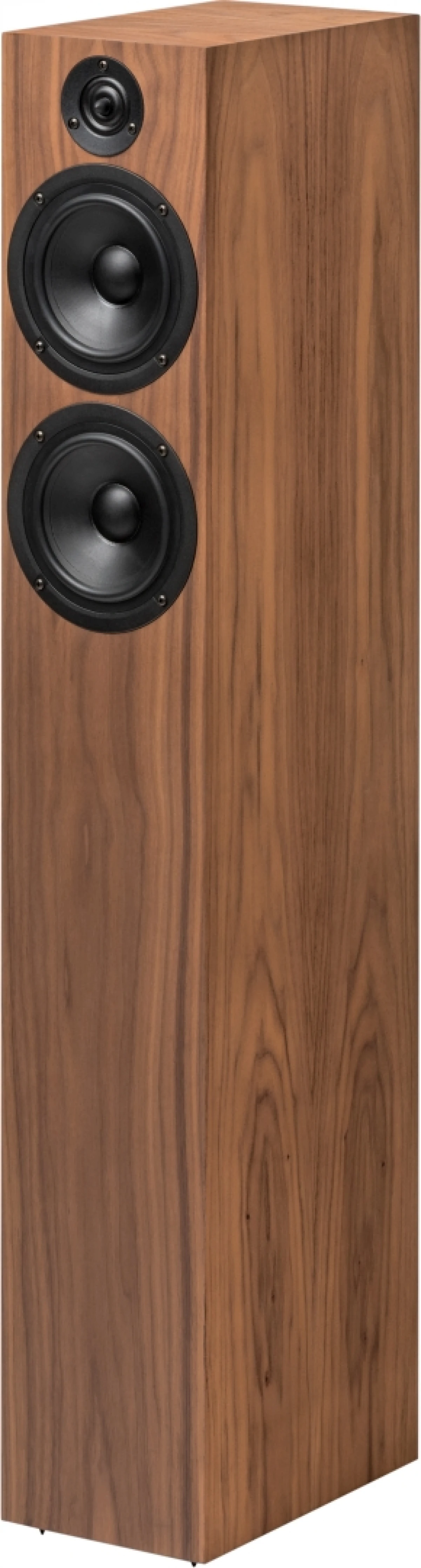 Speaker Box 15 DS2