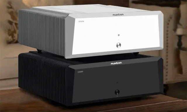 Musician Audio GEMINI